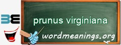 WordMeaning blackboard for prunus virginiana
